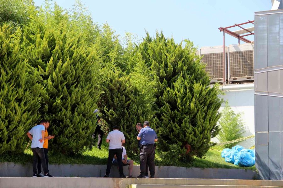 Dalgıça Kapkaç Şoku