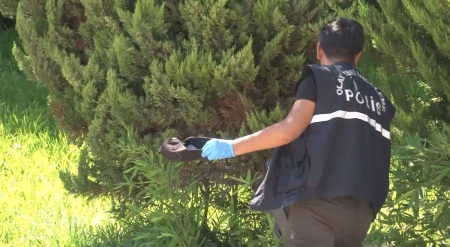 Dalgıça Kapkaç Şoku