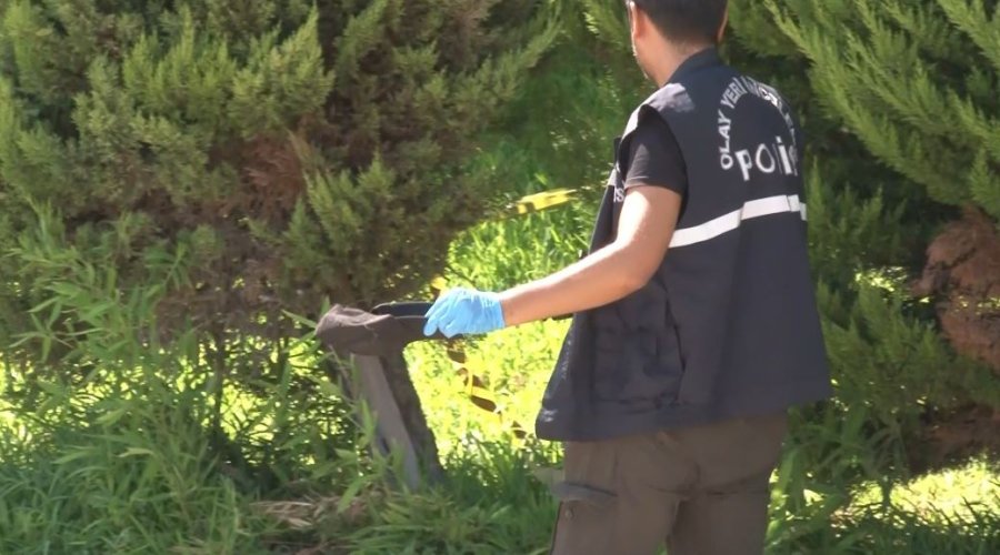 Dalgıça Kapkaç Şoku