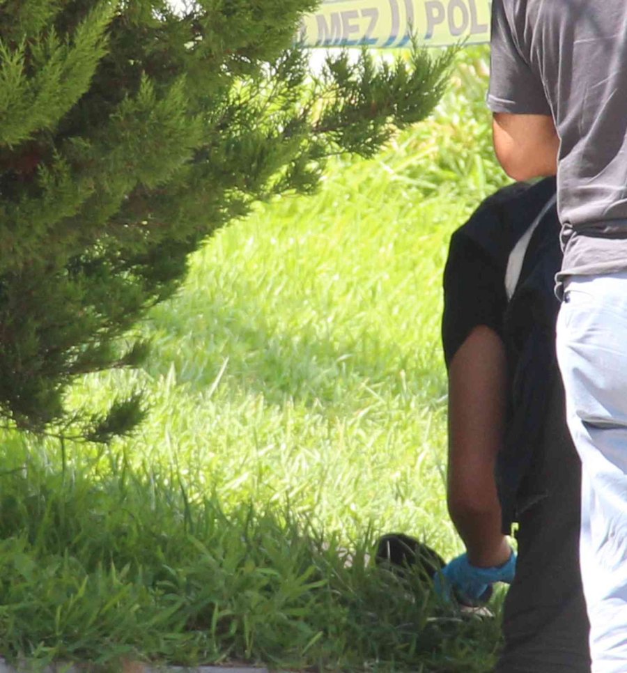 Dalgıça Kapkaç Şoku