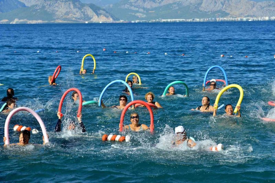 Plajlara Anlık Doluluk Oranını Gösteren Yazılım