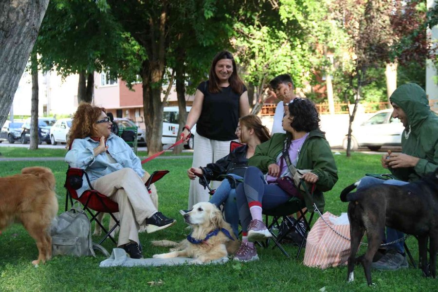 Hayvanlara Şiddete Karşı Farkındalık Oluşturmak İçin ‘pati Şenliği’nde Buluştular
