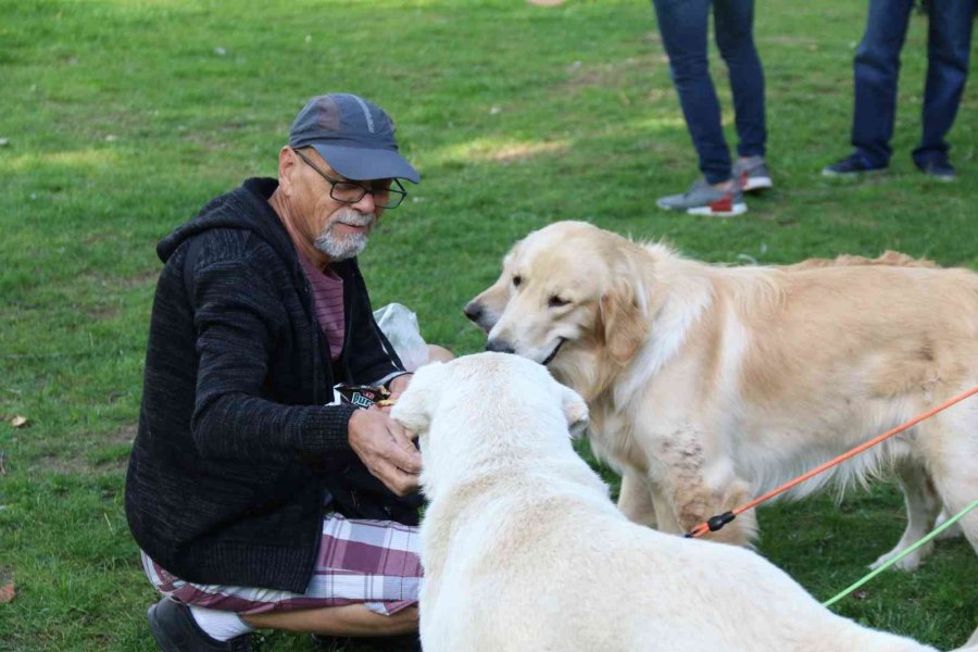 Hayvanlara Şiddete Karşı Farkındalık Oluşturmak İçin ‘pati Şenliği’nde Buluştular