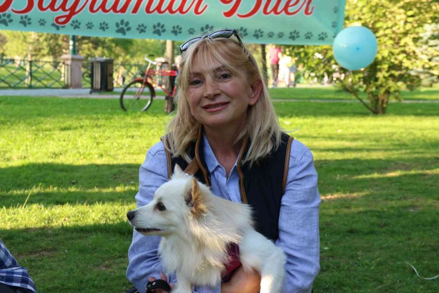 Hayvanlara Şiddete Karşı Farkındalık Oluşturmak İçin ‘pati Şenliği’nde Buluştular