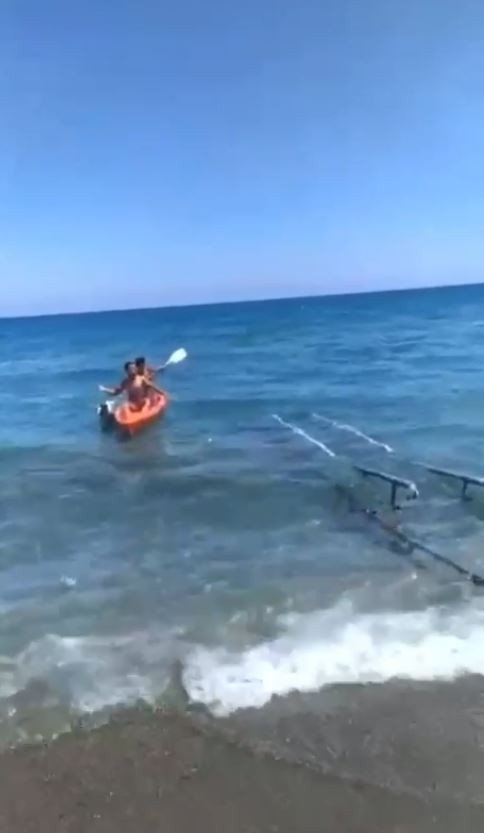 Denizlerin Çöpçüsü Olarak Bilinen 1,5 Metrelik Boz Camgöz Köpek Balığı Kıyıya Vurdu