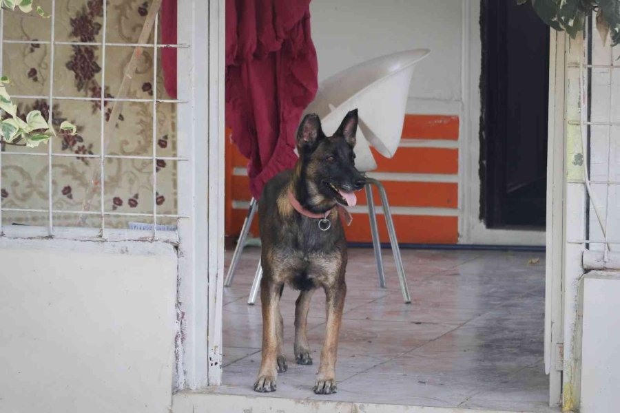 Yalnız Yaşayan Adam Evinde Ölü Bulundu