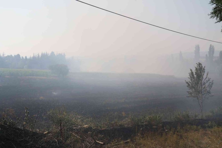 40 Dönümlük Arpa Tarlası Dakikalar İçerisinde Küle Döndü