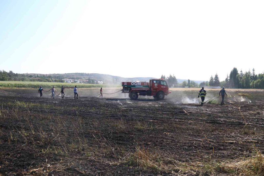 40 Dönümlük Arpa Tarlası Dakikalar İçerisinde Küle Döndü