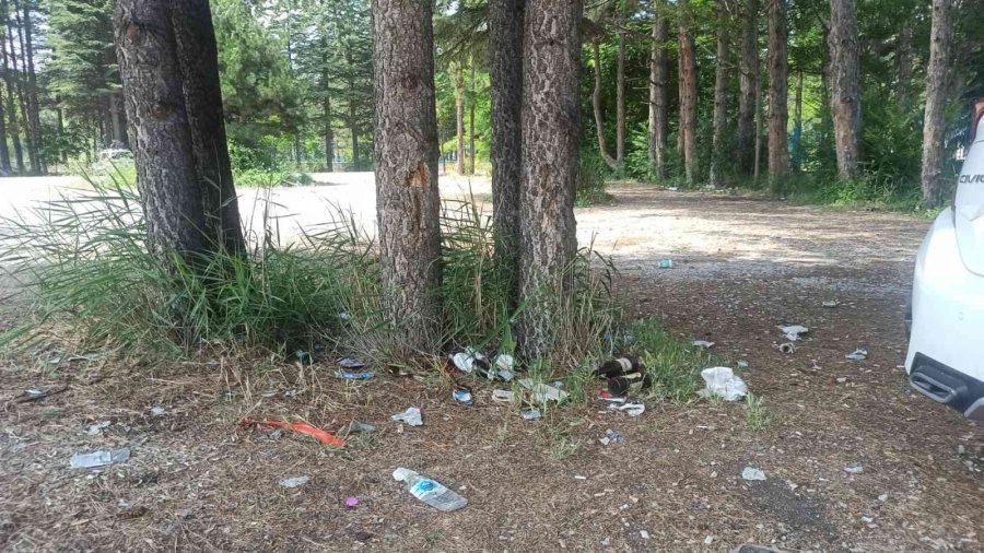 Piknikçiler Çöplerini Bırakıp Gitti