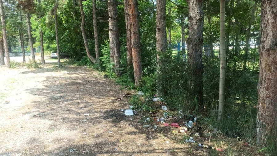 Piknikçiler Çöplerini Bırakıp Gitti
