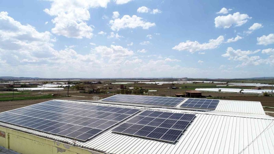 Bebka’dan Sakintepe Soğuk Hava Deposu’na Ziyaret