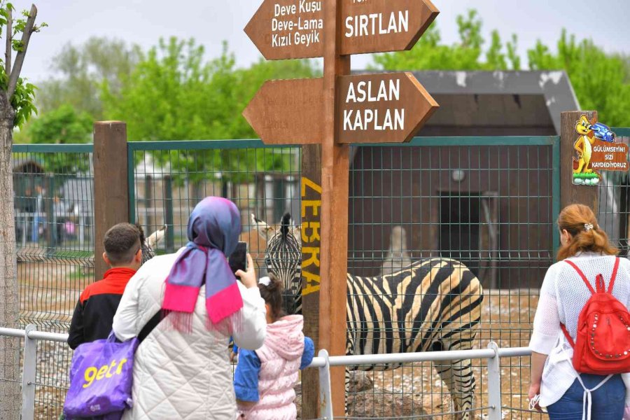 Büyükşehir’in Hayvanat Bahçesi’ne 3 Günde 50 Bin Ziyaretçi