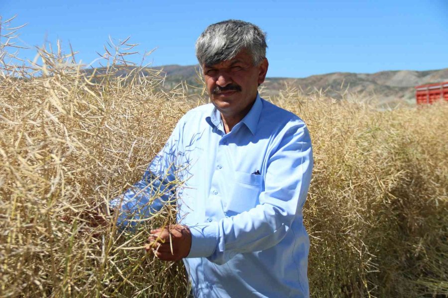 Kanolada İlk Deneme Yüz Güldürdü