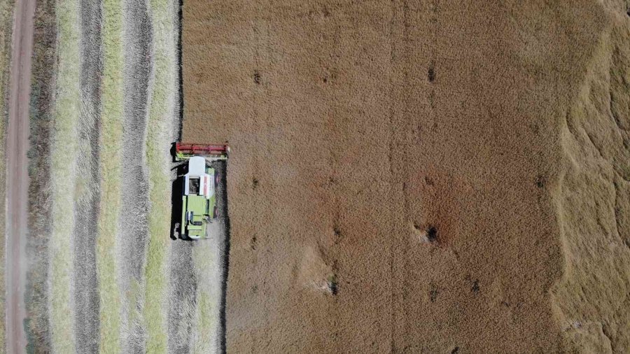 Kanolada İlk Deneme Yüz Güldürdü