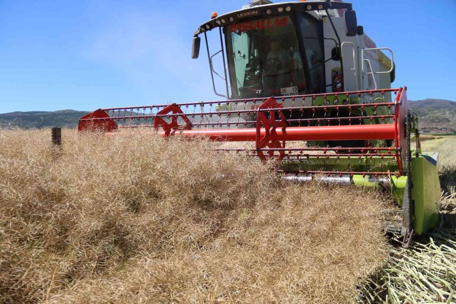 Kanolada İlk Deneme Yüz Güldürdü