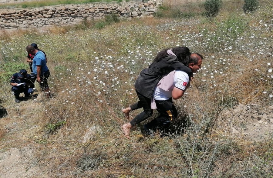 Safari Kazasında Can Pazarı