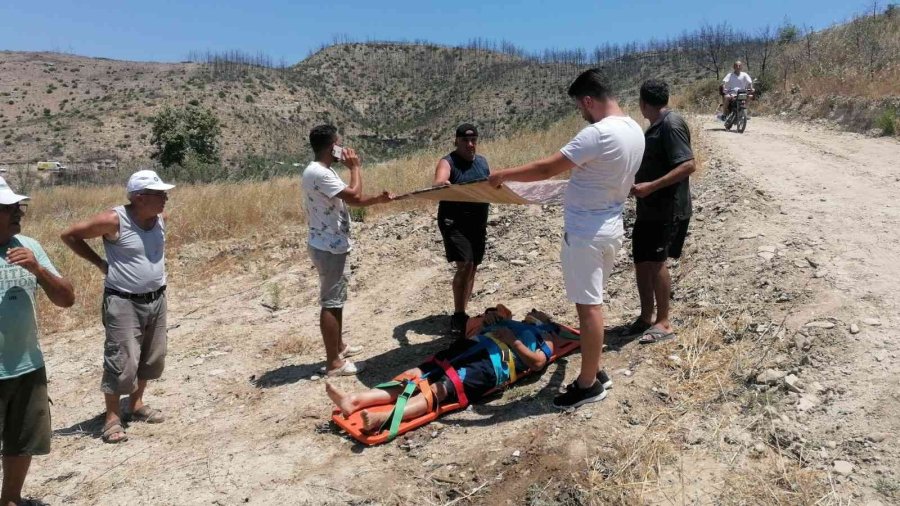 Safari Kazasında Can Pazarı