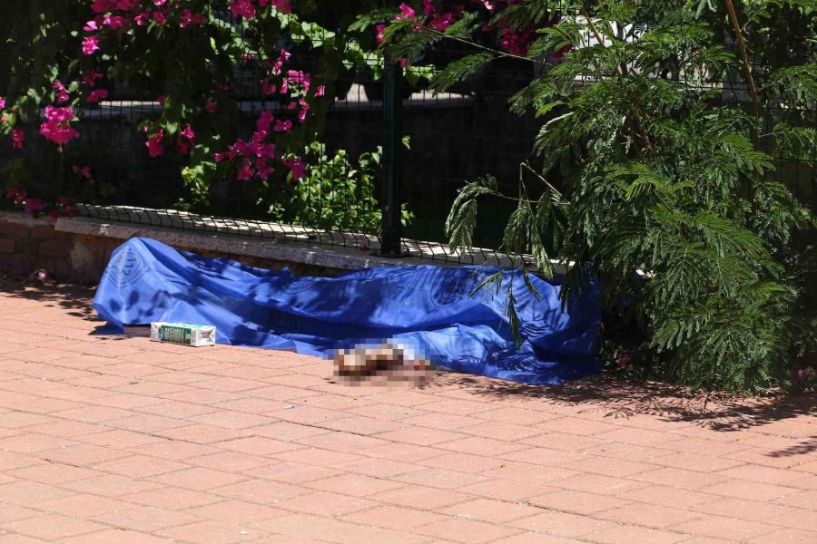 Süt Alıp Evine Dönerken Yolda Fenalaşarak Hayatını Kaybetti