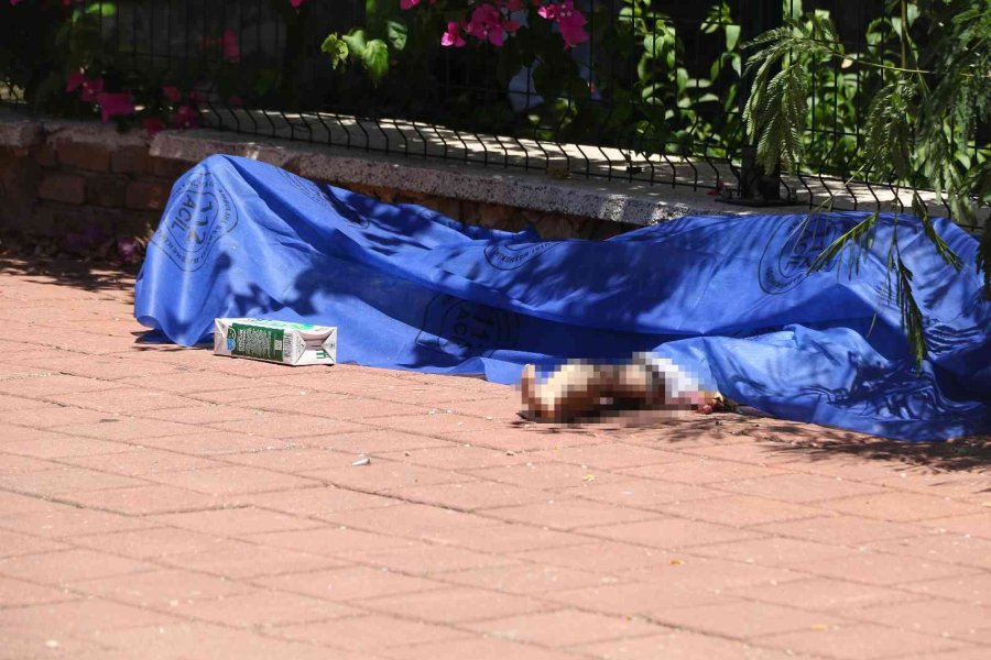 Süt Alıp Evine Dönerken Yolda Fenalaşarak Hayatını Kaybetti