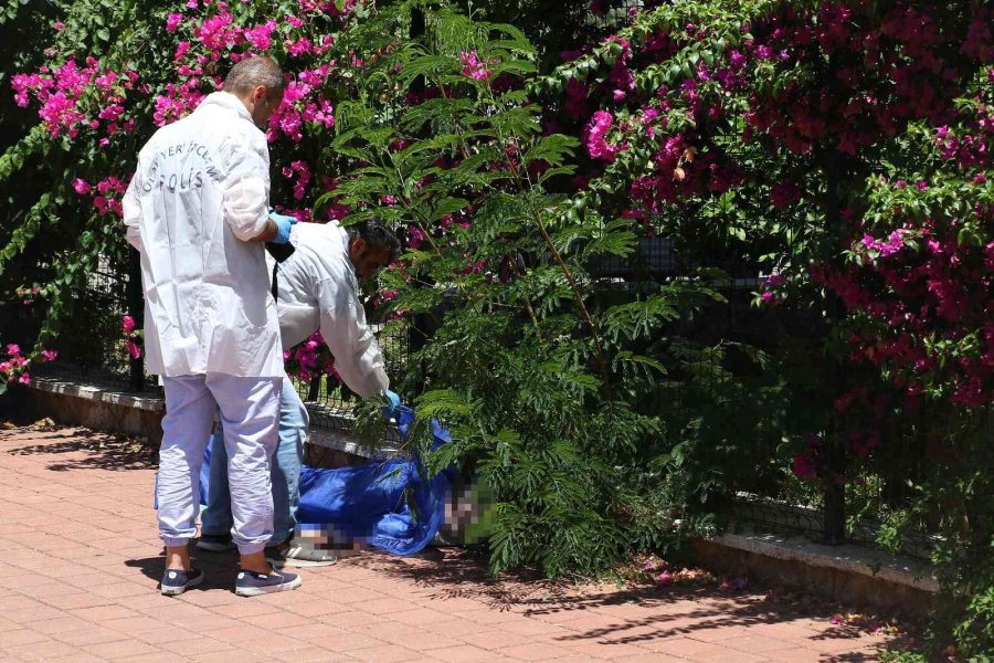 Süt Alıp Evine Dönerken Yolda Fenalaşarak Hayatını Kaybetti