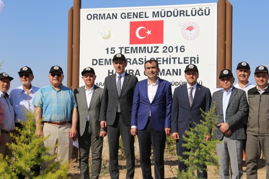 Karaman’da 15 Temmuz Demokrasi Şehitleri Hatıra Ormanı’na 251 Fidan Dikildi