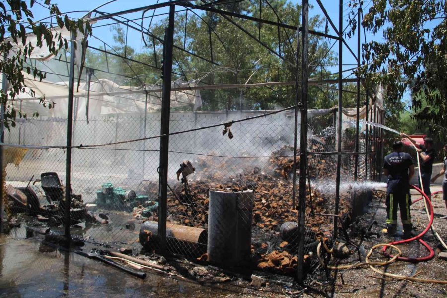 Çim Üretim Firmasının Serasındaki Yangın Korkuttu
