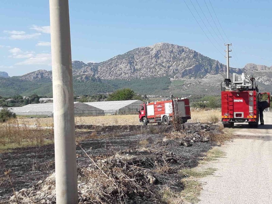 Antalya’da Makilik Alanda Çıkan Yangın Seralara Zarar Verdi