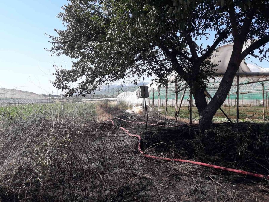 Antalya’da Makilik Alanda Çıkan Yangın Seralara Zarar Verdi