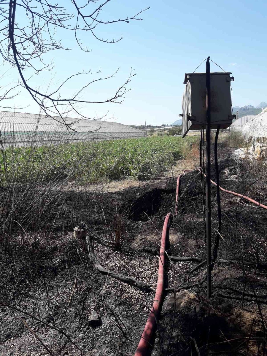 Antalya’da Makilik Alanda Çıkan Yangın Seralara Zarar Verdi