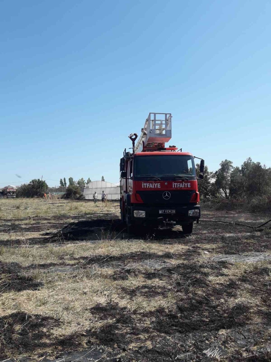 Antalya’da Makilik Alanda Çıkan Yangın Seralara Zarar Verdi
