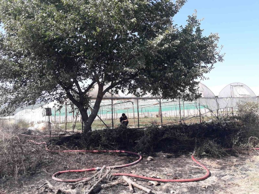 Antalya’da Makilik Alanda Çıkan Yangın Seralara Zarar Verdi