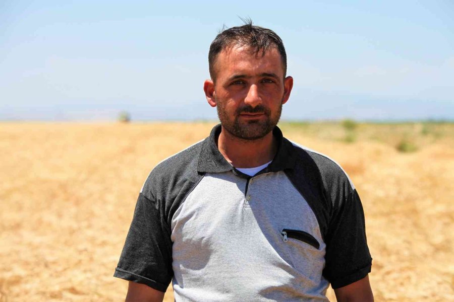 Konya Ovasında Bu Yıl Hububat Ürünlerinde Verim Ve Kalite Arttı