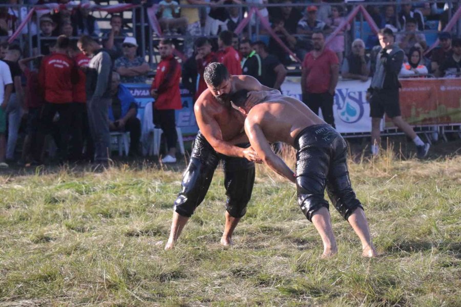 Gökbel Yağlı Güreşlerinde Altın Kemerin Sahibi Cengizhan Şimşek Oldu