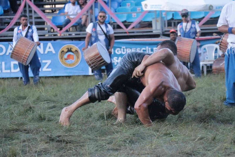 Gökbel Yağlı Güreşlerinde Altın Kemerin Sahibi Cengizhan Şimşek Oldu