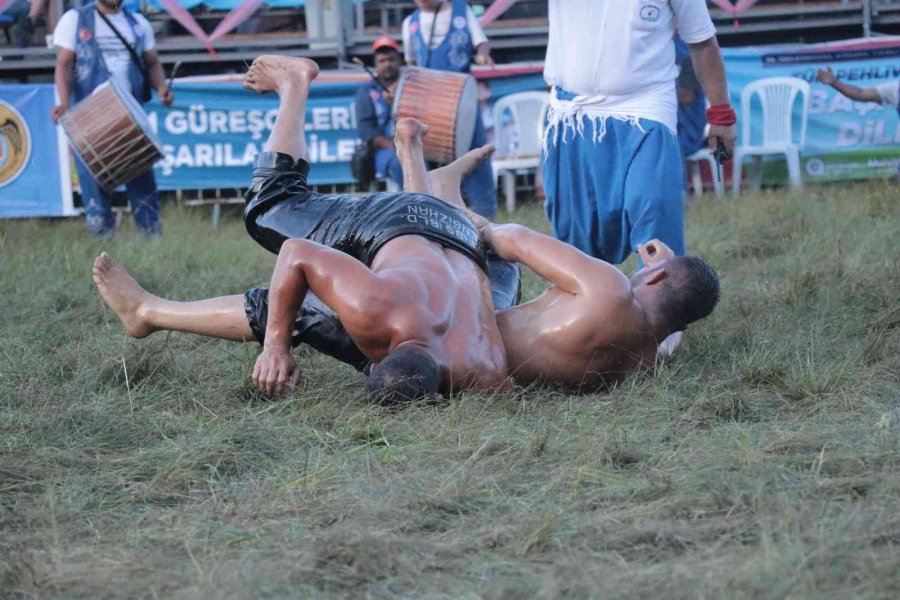 Gökbel Yağlı Güreşlerinde Altın Kemerin Sahibi Cengizhan Şimşek Oldu