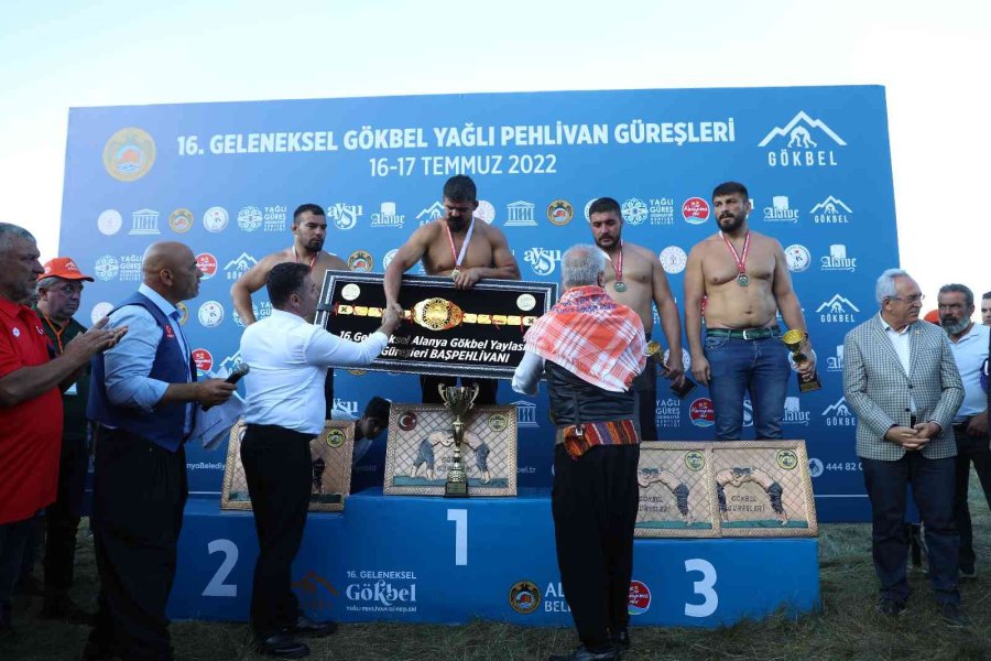 Gökbel Yağlı Güreşlerinde Altın Kemerin Sahibi Cengizhan Şimşek Oldu