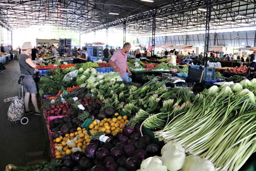 Antalya’da Dört Gözle Beklenen Yayla Domatesi Pazarla Buluştu