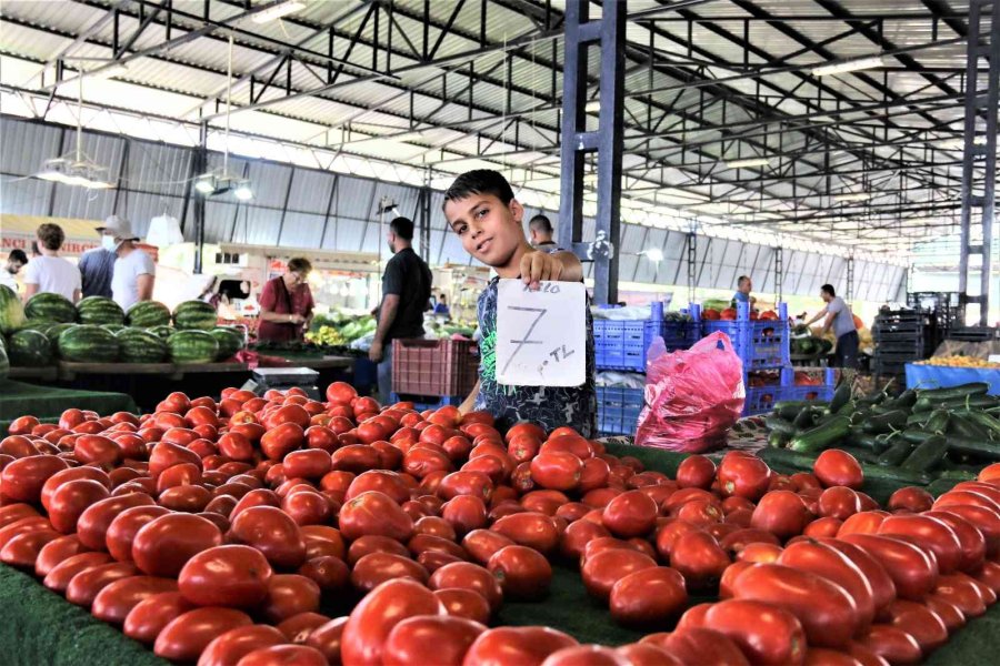Antalya’da Dört Gözle Beklenen Yayla Domatesi Pazarla Buluştu