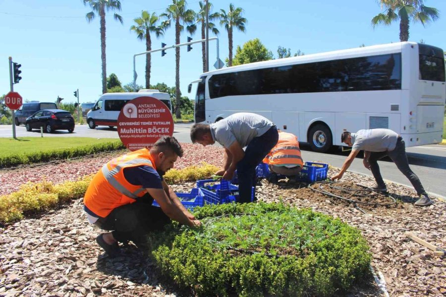 Kemer Peyzaj Çalışmalarıyla Renklenecek