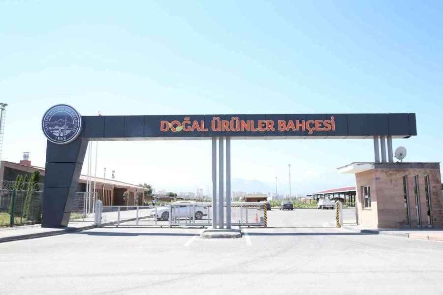 Büyükşehir’in ’doğal Ürünler Bahçesi Pazarı’ Açılıyor