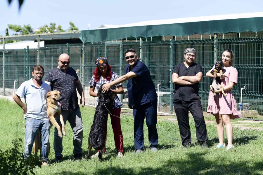 Antalya’da Kavurucu Sıcaklarda Sokak Hayvanları İçin Vıp Hizmet