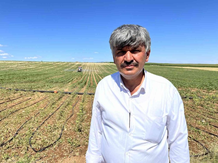 Eskişehir’de ‘çayır Tırtılı’ İle Mücadele Başlatıldı