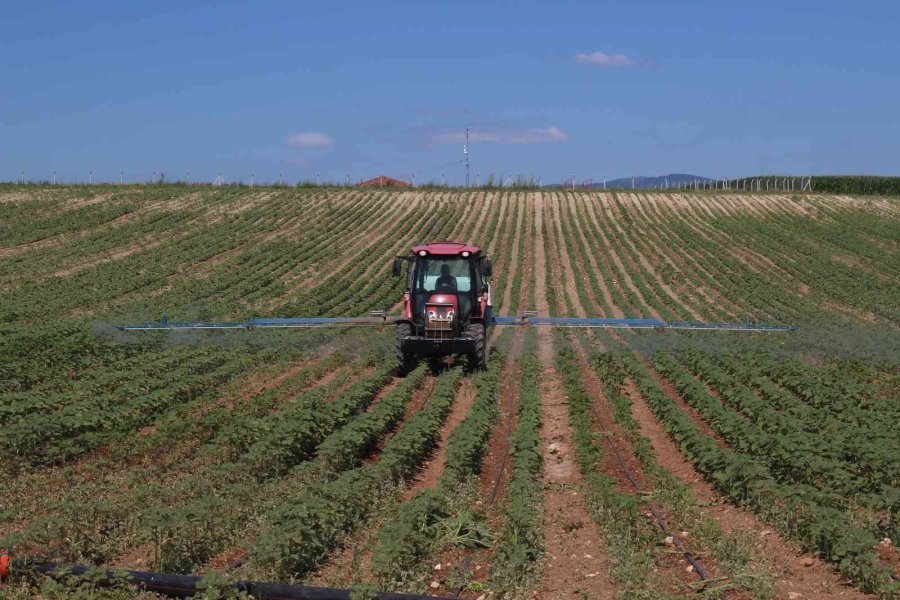 Eskişehir’de ‘çayır Tırtılı’ İle Mücadele Başlatıldı