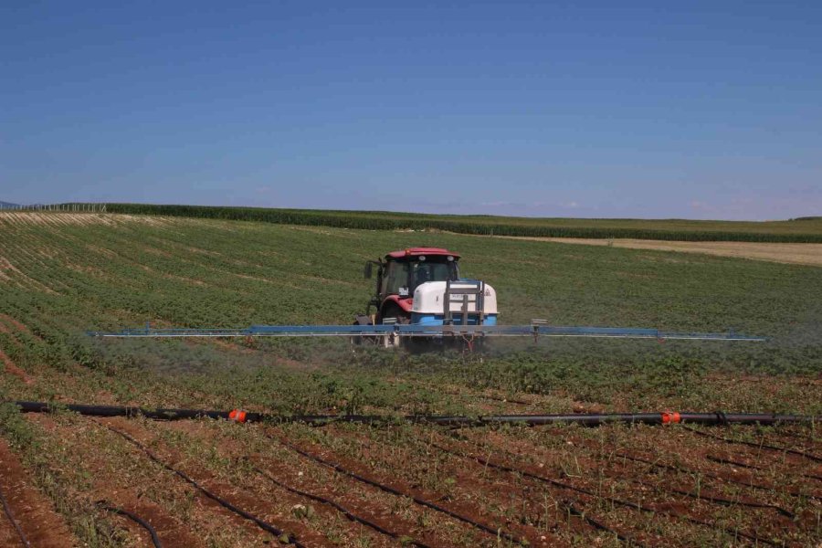 Eskişehir’de ‘çayır Tırtılı’ İle Mücadele Başlatıldı