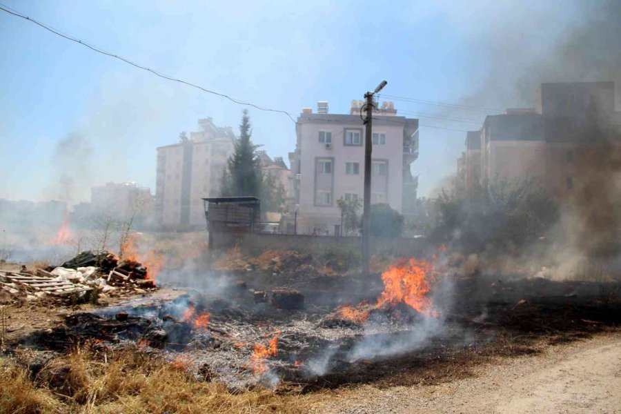 Mahallelinin Evleri Tehdit Eden Ot Çalılık Yangını Seferberliği