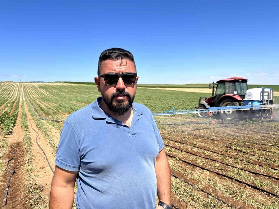 Eskişehir’de ‘çayır Tırtılı’ İle Mücadele Başlatıldı