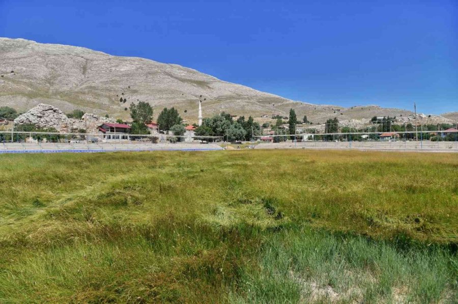 Feslikan, Yağlı Güreşe Hazırlanıyor