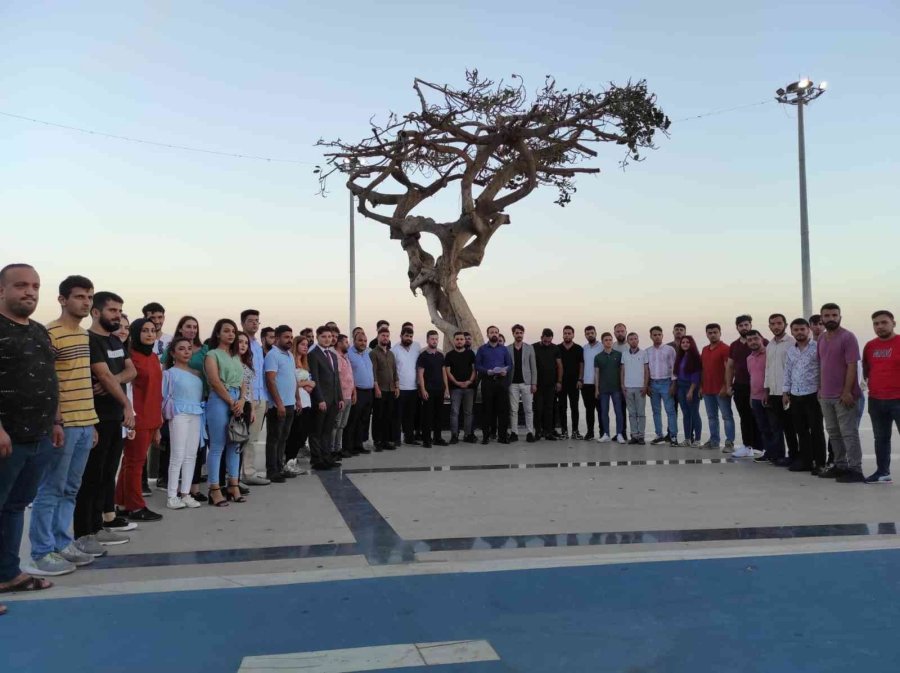Ak Partili Gençlerden Mersin’deki Ağaç Katliamına Tepki