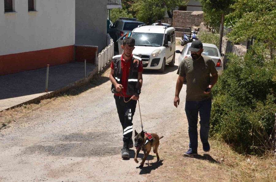 Antalya’da 9 Gündür Kayıp Olan Miyase Nine İçin 40 Kişilik Jandarma Ordusu Gece Gündüz Sahada