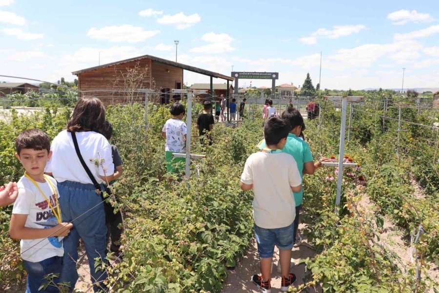 Büyükşehir’in Bilim Kampları Coşkulu Başladı